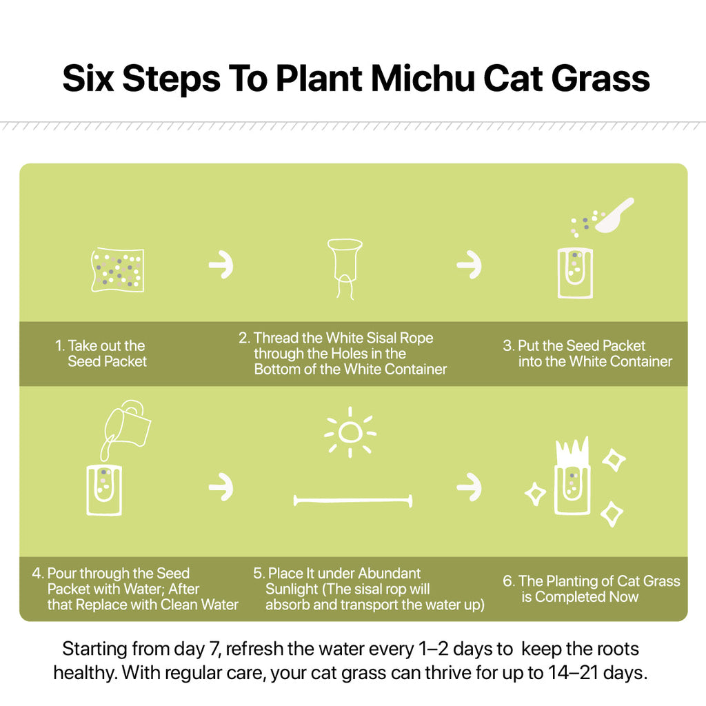 Michu All-in-One Soil-Free Cat Grass Grow Kit - Made In USA