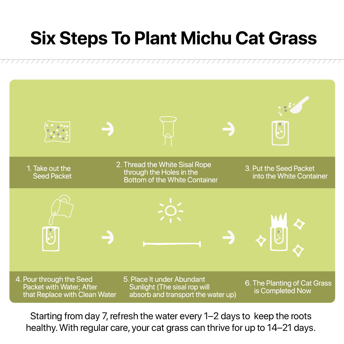 Michu All-in-One Soil-Free Cat Grass Grow Kit - Made In USA