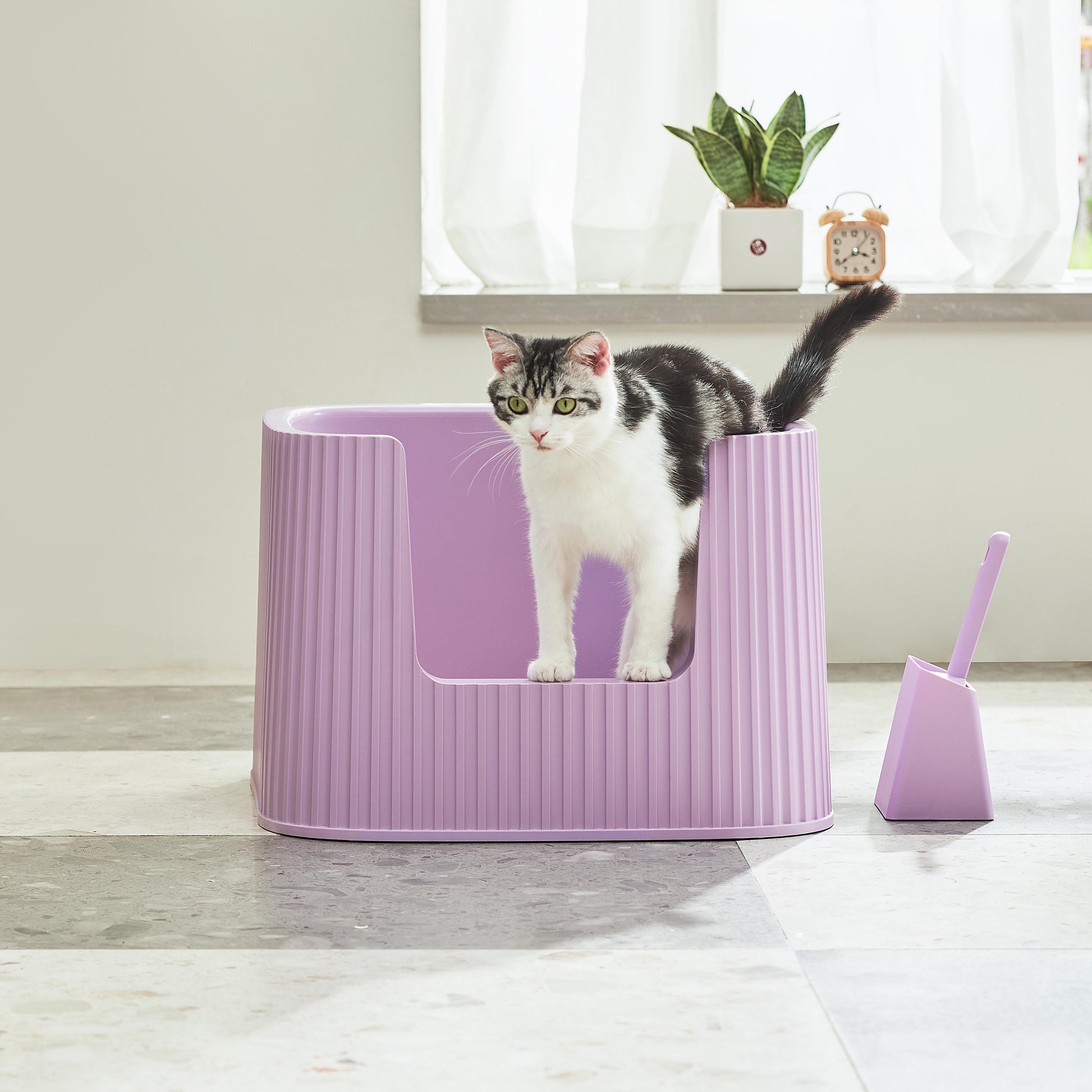 Michu XXL Stella Deluxe Cat Litter Box - Spacious Design