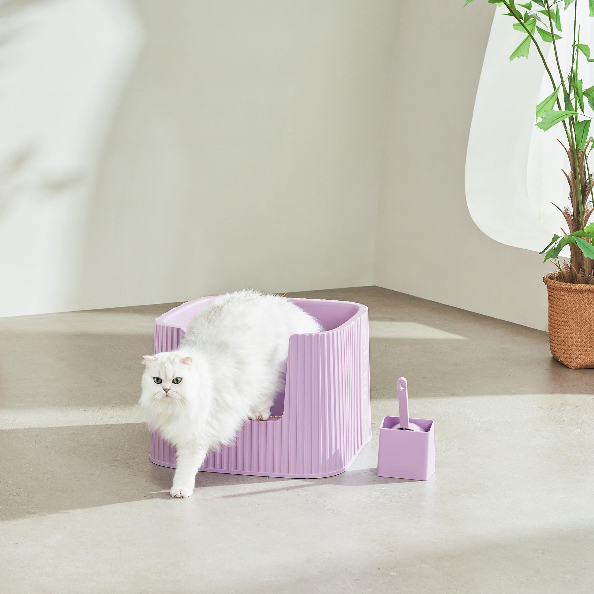 Michu XXL Stella Deluxe Cat Litter Box - Spacious Design