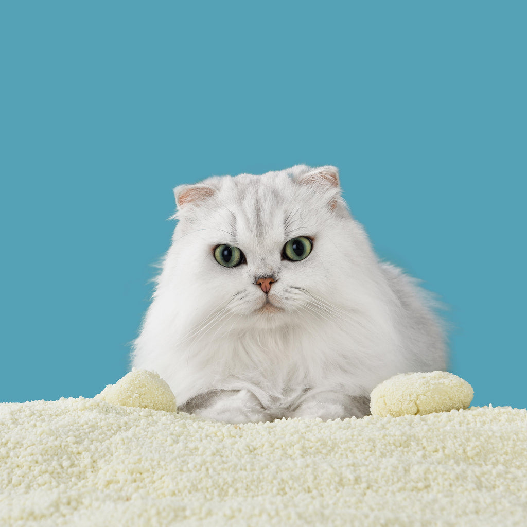 Michu Wonder Cat Litter Plant Based Litter Robot Friendly 5.5lb/88oz