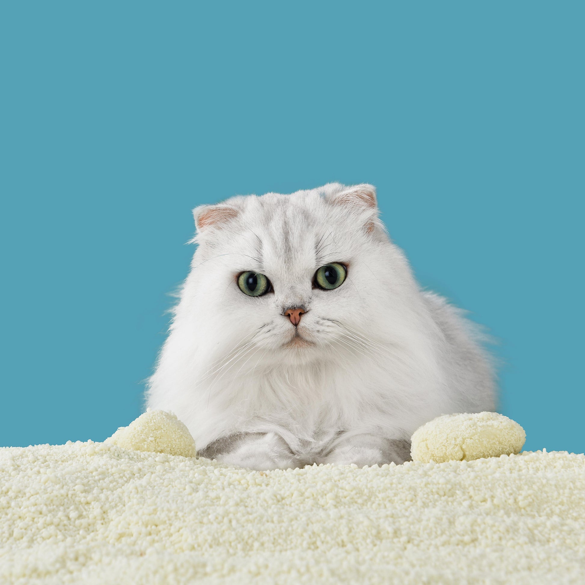 Michu Wonder Cat Litter Plant Based Litter Robot Friendly 5.5lb/88oz
