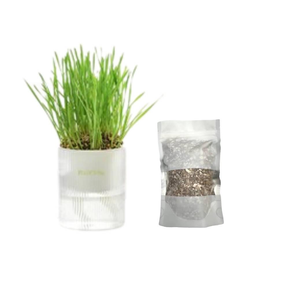 Michu All-in-One Soil-Free Cat Grass Grow Kit - Made In USA