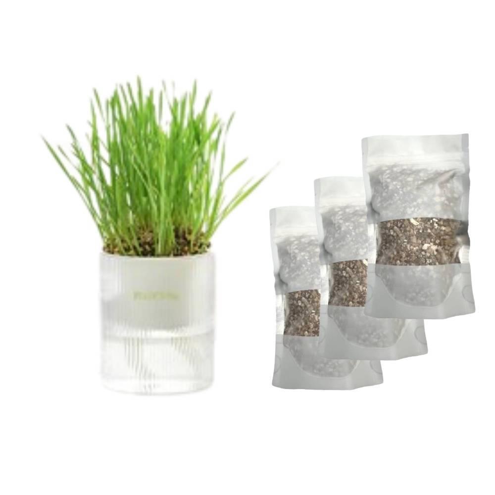 Michu All-in-One Soil-Free Cat Grass Grow Kit - Made In USA