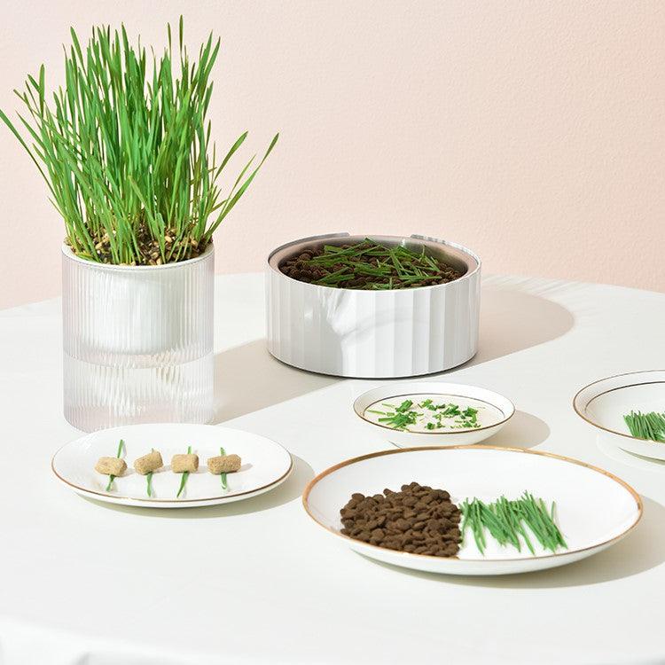 Michu All-in-One Soil-Free Cat Grass Grow Kit - Made In USA