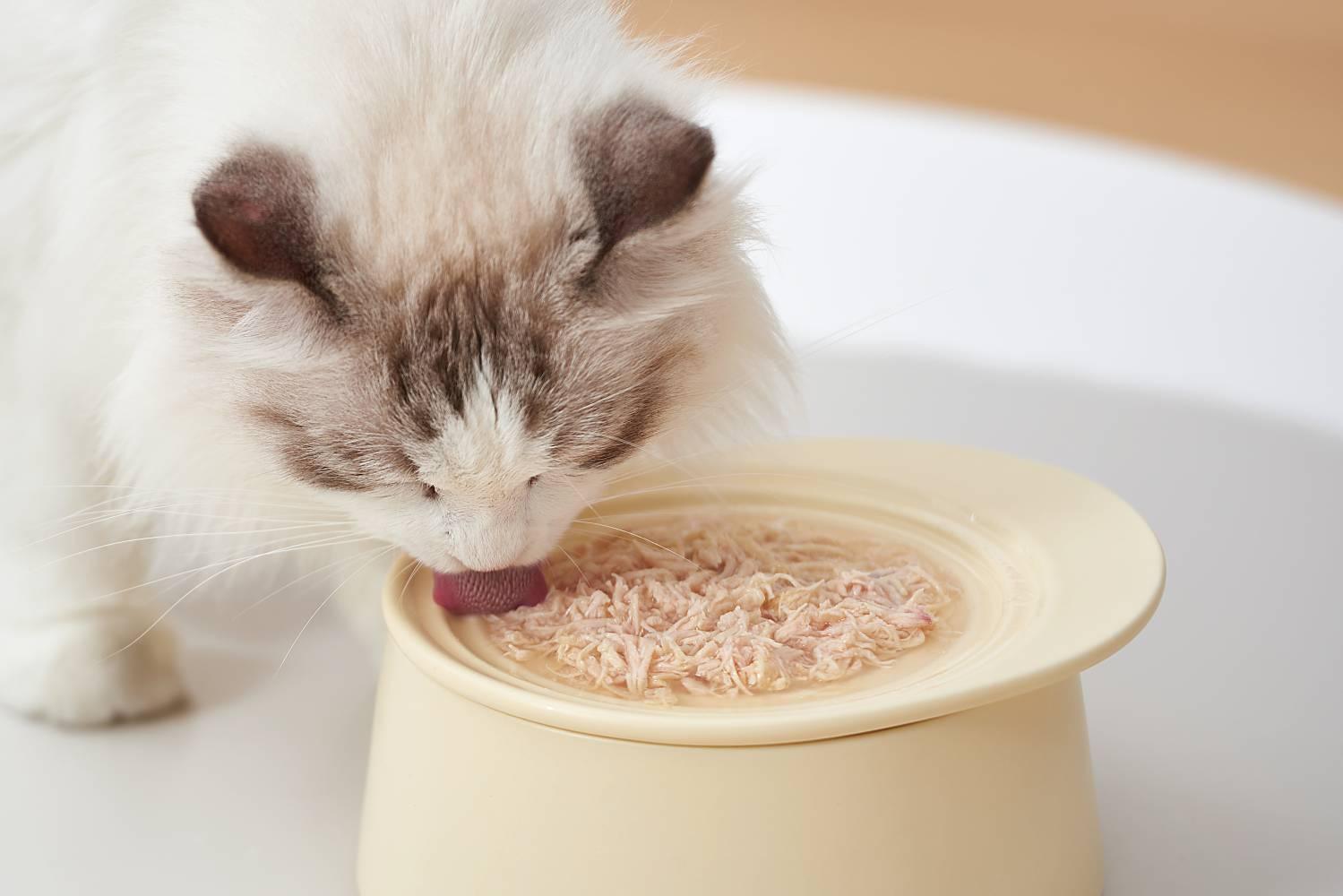 Michu Ceramic 3pcs Dinnerware Set- Raised Bowl and Plate Set for Everyday Pets Essentials