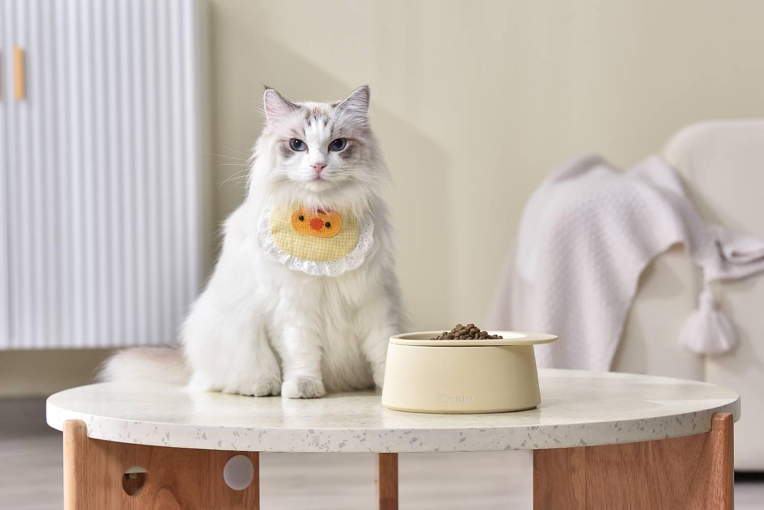 Michu Ceramic 3pcs Dinnerware Set- Raised Bowl and Plate Set for Everyday Pets Essentials