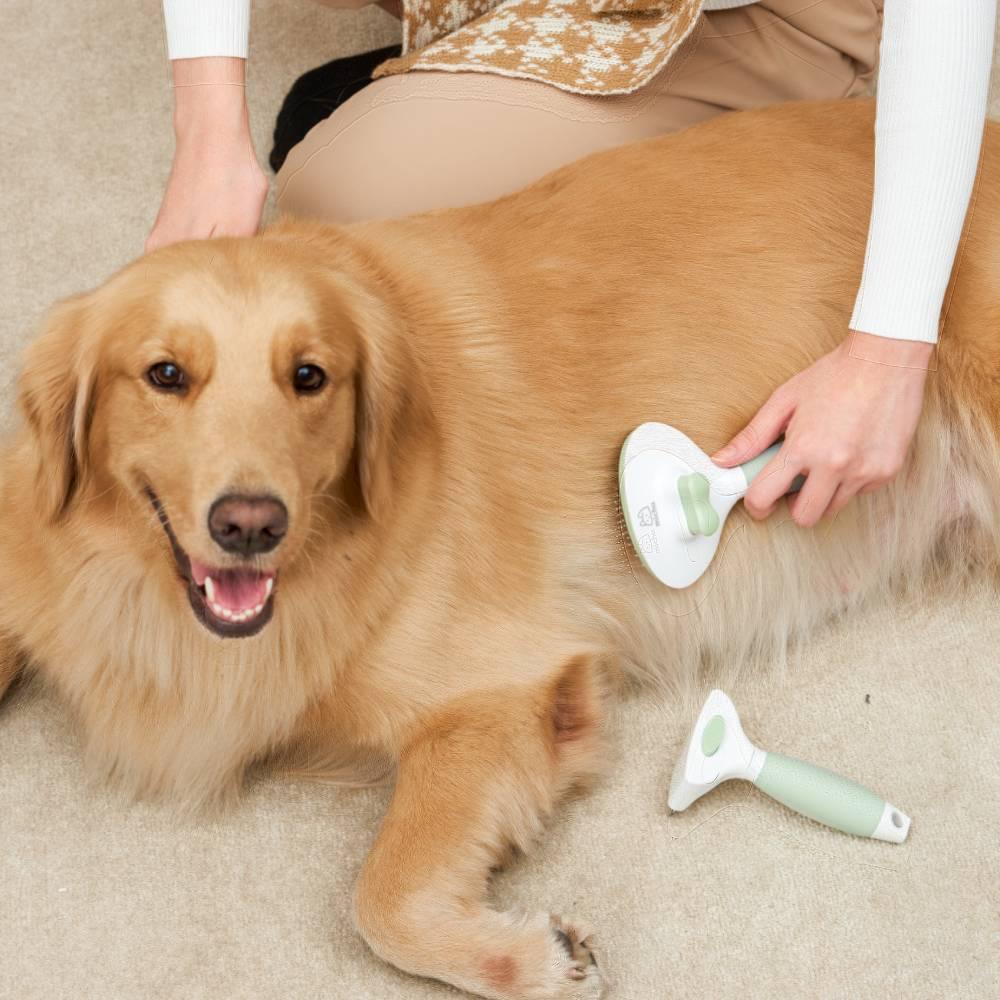 Michu Cream Pet Brush - Gentle and Effective Grooming for Dogs and Cats