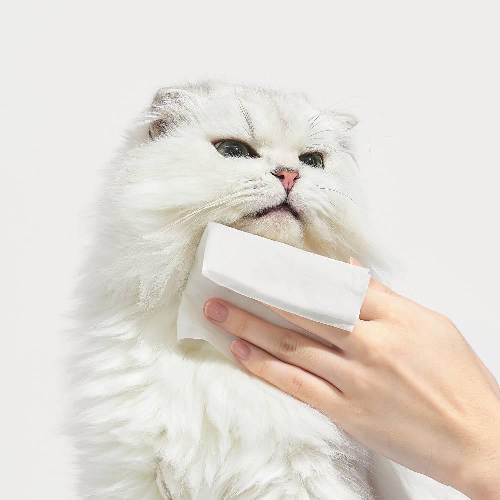 Michu Cream Pet Brush - Gentle and Effective Grooming for Dogs and Cats