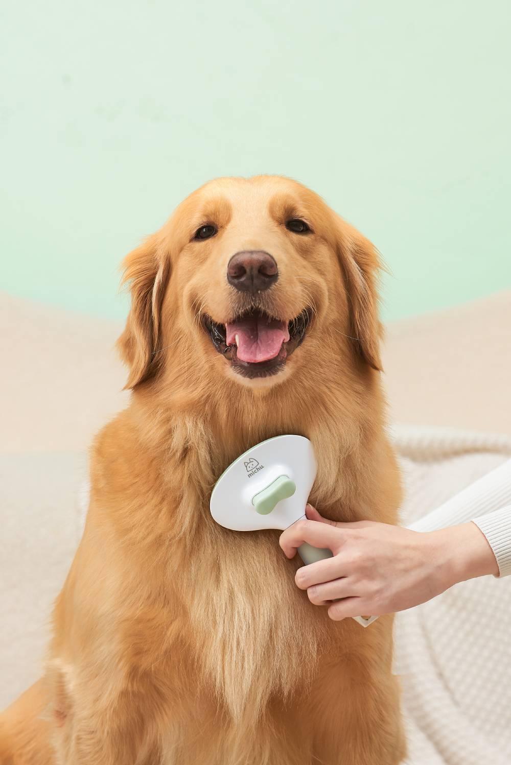 Michu Cream Pet Brush - Gentle and Effective Grooming for Dogs and Cats