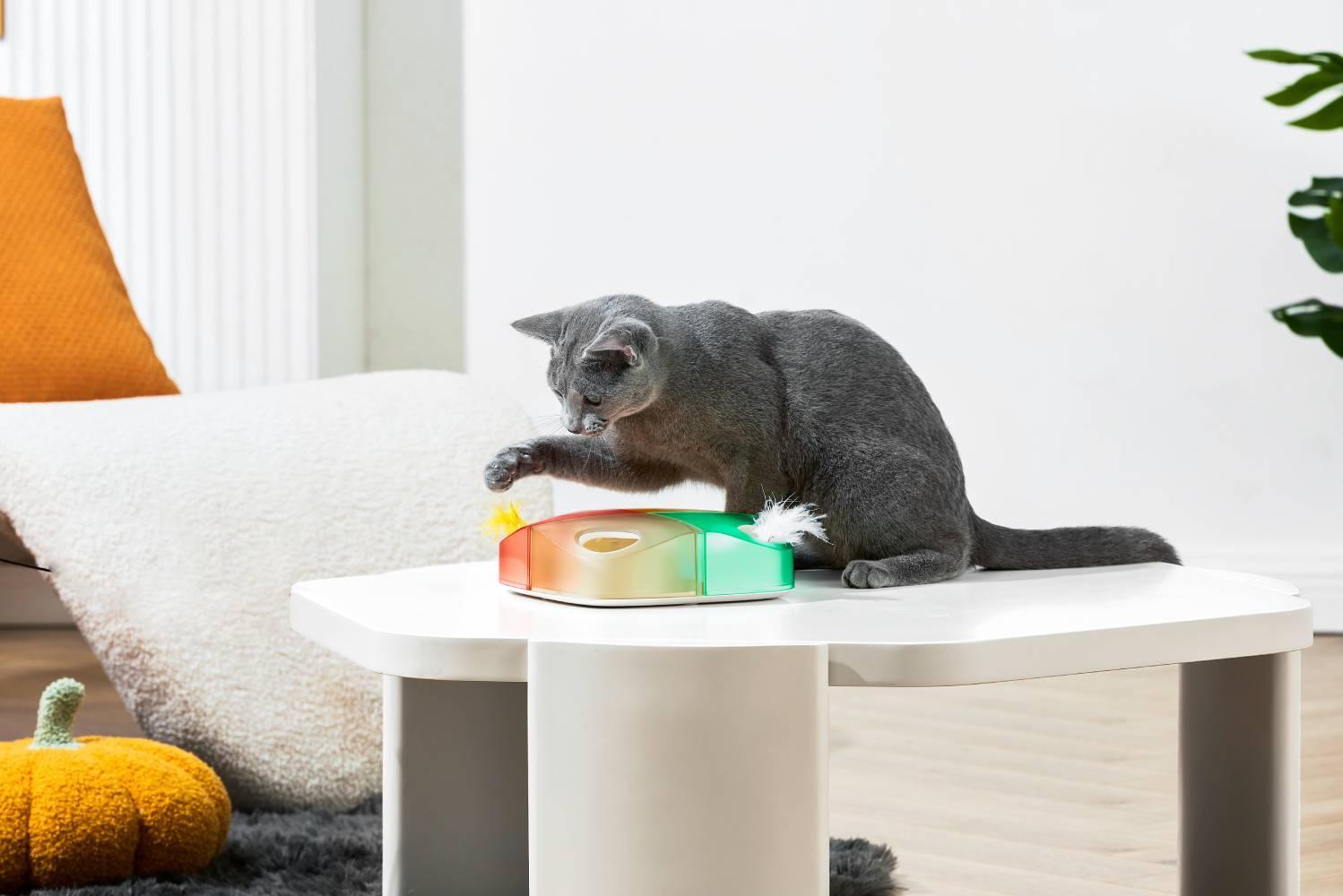 Michu Interactive Feathered Rechargeable Cat Toy Box [preorder]