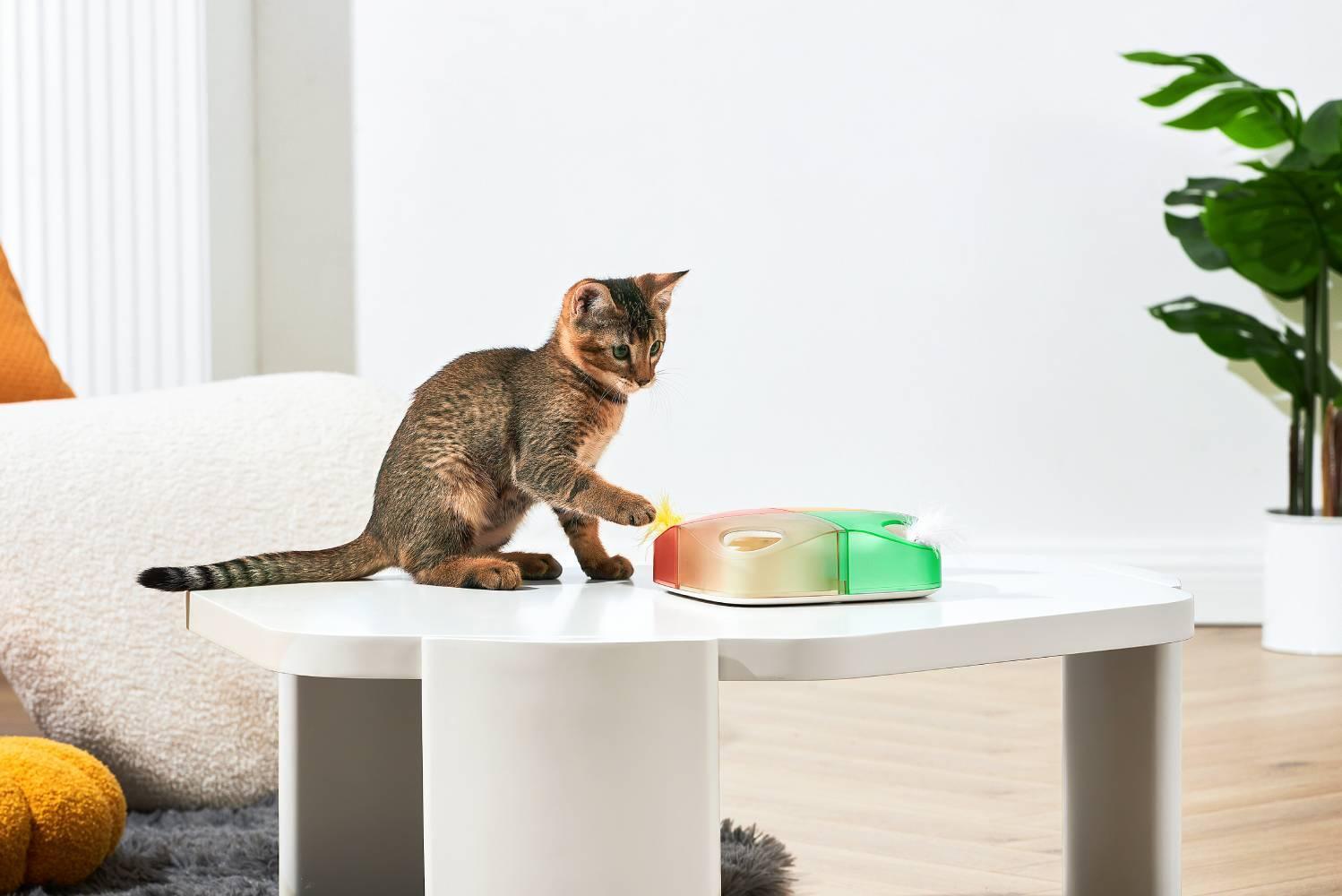 Michu Interactive Feathered Rechargeable Cat Toy Box [preorder]